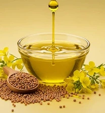 Yellow Mustard Oil